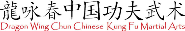 Dragon Wing Chun Chinese Kung Fu Martial Arts