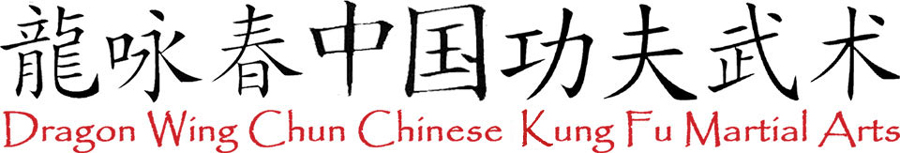 Dragon Wing Chun Chinese Kung Fu Martial Arts