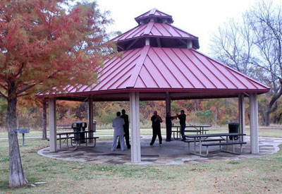 Dragon James Fell with the Wing Chun Gang